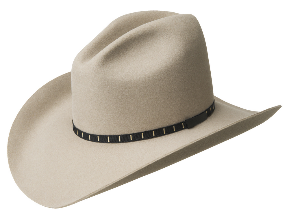 elbridge-silverbelly elbridge-silverbelly